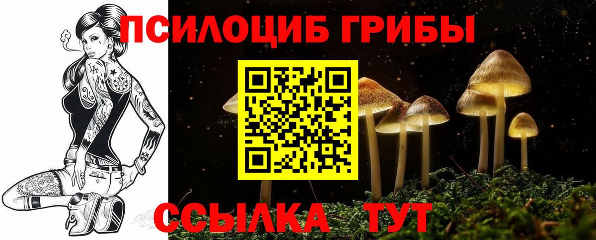 Галлюциногенные грибы Cubensis Сарапул